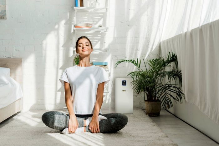 Очищувач повітря Karcher AF 30, 30м2, 200м3/год, дисплей, 2 HEPA фільтри, 4 режими,  інд. забр-ння, білий