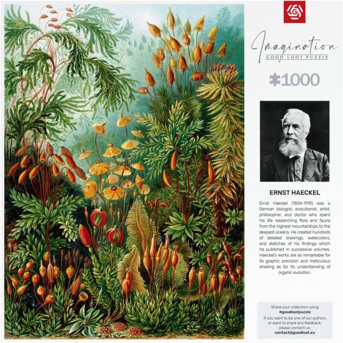 Пазл Imagination: Ernst Haeckel Muscinae 1000 ел.