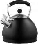 Чайник Ardesto Black Mars, 3л, нержавіюча сталь, чорний