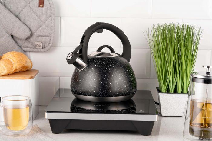 Чайник Ardesto Gemini, 2.5л, нержавіюча сталь, чорний