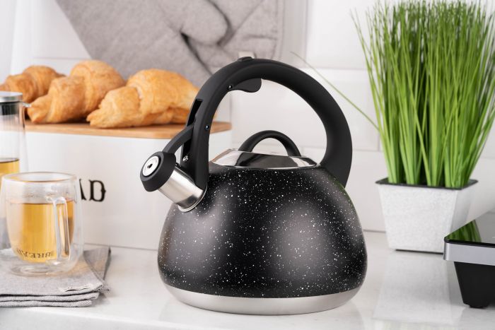 Чайник Ardesto Gemini, 2.5л, нержавіюча сталь, чорний