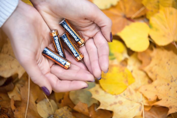 Батарейка Panasonic ALKALINE POWER лужна AA блістер, 2 шт.