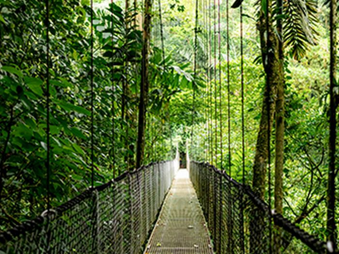 Ноутбук HP Probook 4-G1a 14" 2.2K IPS, AMD R7-250, 48GB, F1024GB, UMA, Win11P, сріблястий