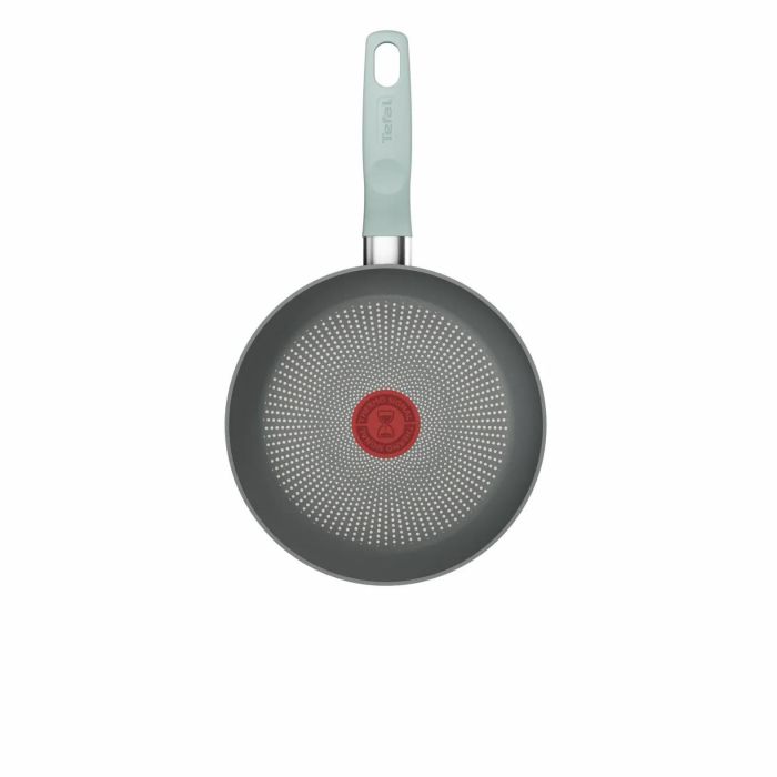Сковорода Tefal Halo EUCALYPTUS, 24см, алюміній, бакеліт, сірий