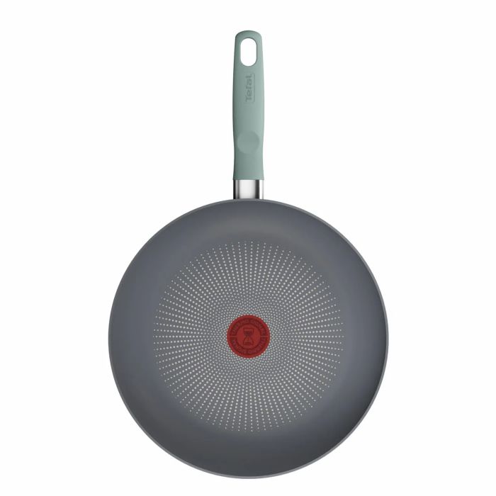 Сковорода Tefal Halo EUCALYPTUS, 28см, алюміній, бакеліт, сірий