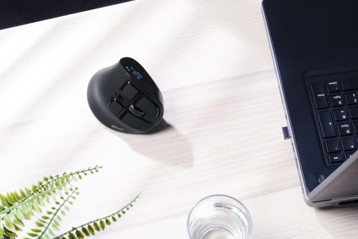 Миша Trust Voxx Rechargeable Ergonomic, WL, чорний