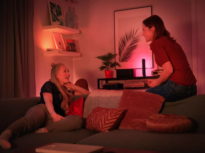 Панель освітлення розумна Philips Hue Play, 2000K-6500K, RGB, ZigBee, димування, базовий комплект, блок живлення, 2шт, чорний