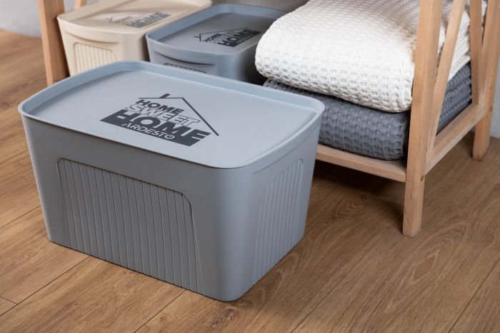 Ящик з кришкою для зберігання Ardesto 45.5х31х24.5см, 23л, пластик PP, бежевий