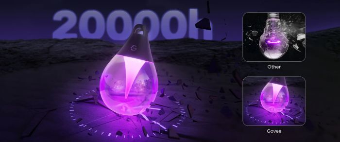 Набір світлодіодних ламп Govee H7025 Outdoor Clear Bulb String Lights, 15м, RGBIC/Warm White, WI-FI/Bluetooth, чорний