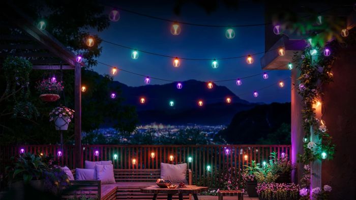 Набір світлодіодних ламп Govee H7025 Outdoor Clear Bulb String Lights, 15м, RGBIC/Warm White, WI-FI/Bluetooth, чорний