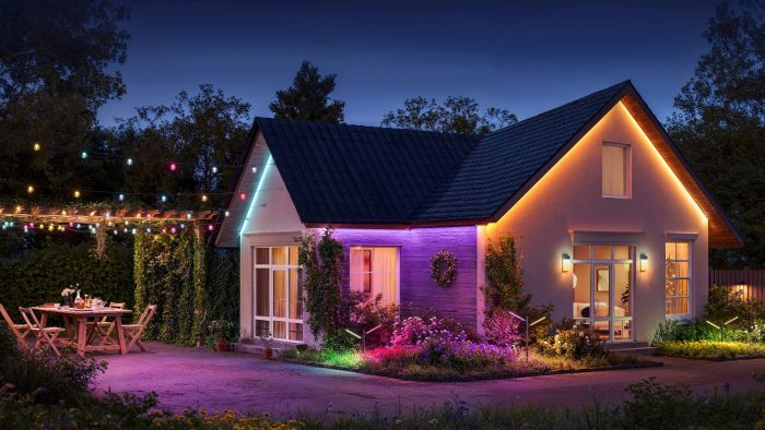 Набір світлодіодних ламп Govee H7025 Outdoor Clear Bulb String Lights, 15м, RGBIC/Warm White, WI-FI/Bluetooth, чорний