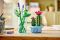 Конструктор LEGO Botanicals  Цвітіння кактуса