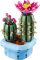 Конструктор LEGO Botanicals  Цвітіння кактуса