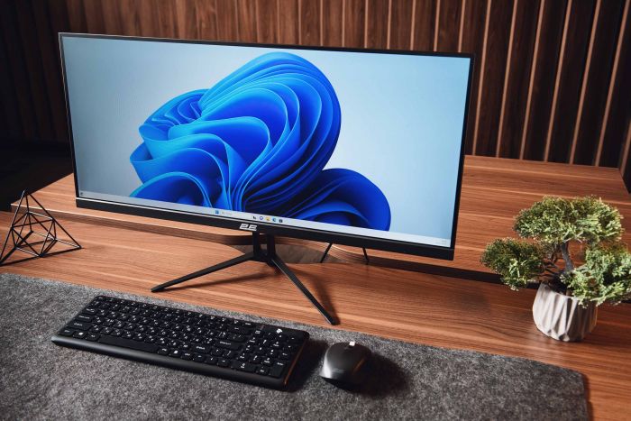 Монітор 2E 28.7" D2923B 2xHDMI, DP, MM, IPS, 2560x1080, 21:9, 75Hz, FreeSync