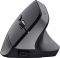 Миша Trust Bayo + Ergonomic, BT/WL/USB-A, чорний