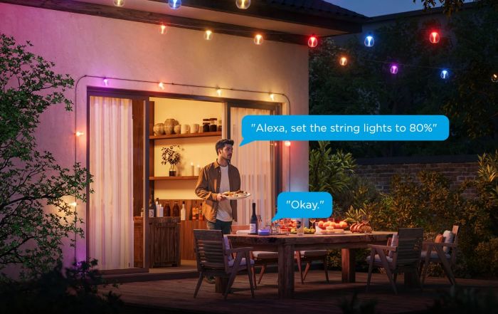 Набір світлодіодних ламп Govee H7025 Outdoor Clear Bulb String Lights, 15м, RGBIC/Warm White, WI-FI/Bluetooth, чорний